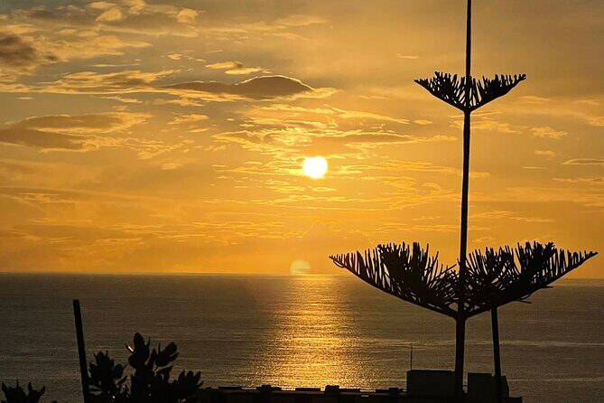 Classic car / Half day tour / Day tour / Private Tour Madeira - Who Will Love This Tour?