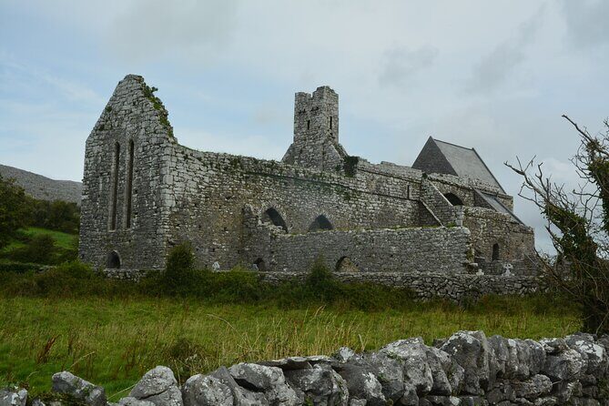 Cliffs of Moher and Burren Private Tour from Galway - Who Will Love This Tour?
