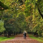 Cluj-Napoca Walking City Tour - The Experience: What’s It Like?