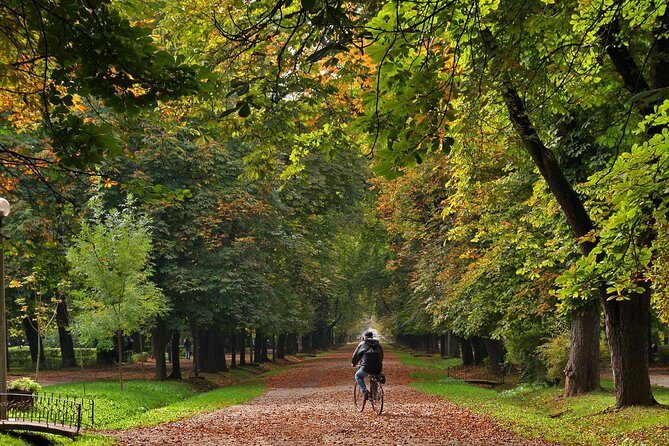 Cluj-Napoca Walking City Tour - The Experience: What’s It Like?