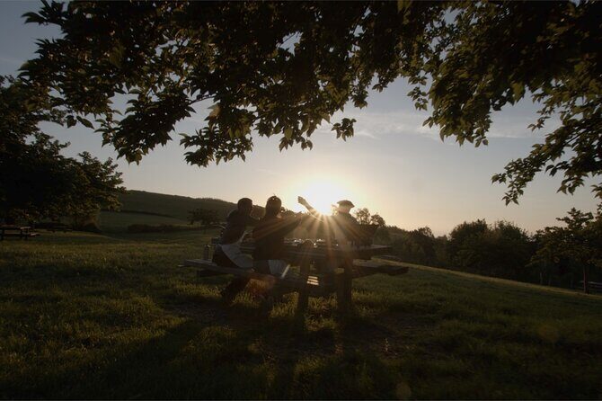 Coast, fish and txakoli wine - Who Will Love This Tour?