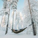 Cocooning in the HaliPuu forest: The ultimate Arctic hammock relaxation - An In-Depth Look at the Experience