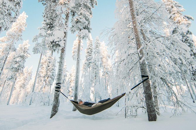 Cocooning in the HaliPuu forest: The ultimate Arctic hammock relaxation - An In-Depth Look at the Experience
