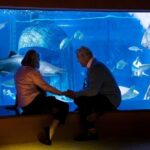 Combo Ticket: Madame Tussauds & SEA LIFE London Aquarium - The Pros and Cons