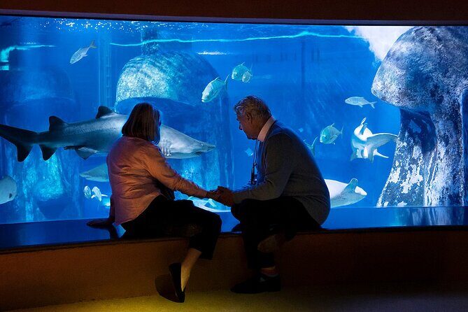 Combo Ticket: Madame Tussauds & SEA LIFE London Aquarium - The Pros and Cons