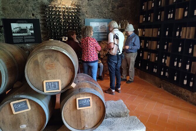 Complete Private Douro Valley Wine Tour - Who Should Consider This Tour?