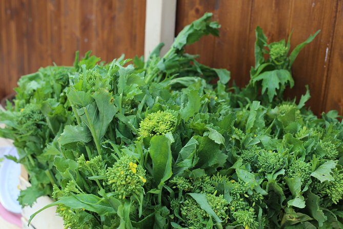 COOKING LESSON IN MASSERIA with transfer from Alberobello - Who Will Love This Tour?