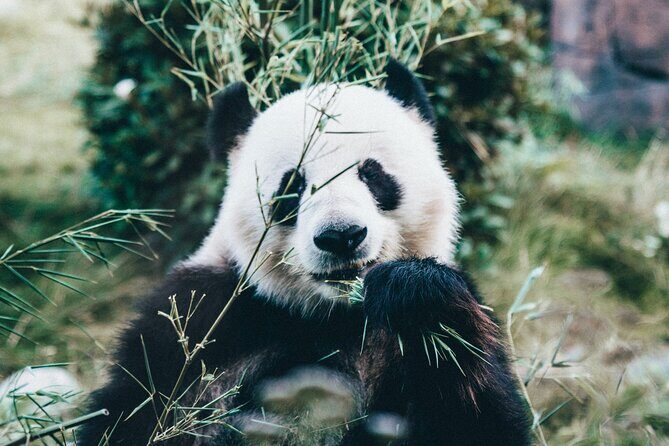 Copenhagen Card DISCOVER 80 attractions and public transport - What Travelers Say