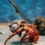 Corfu Aquarium Ticket with Tour Included - Pricing and Value