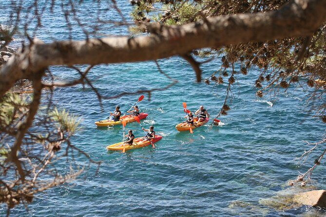 Costa Brava Guided Kayak and Snorkeling Excursion in Playa de Aro - Authentic Experiences in the Reviews