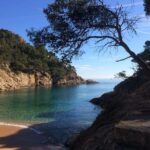 Costa Brava Scenic Hike & Tossa de Mar Small Group Tour - Who Is This Tour Best For?