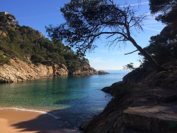Costa Brava Scenic Hike & Tossa de Mar Small Group Tour - Who Is This Tour Best For?