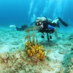 Crete-Chania: Snorkeling & Scuba Dive for Beginners by Boat - What’s Included and What’s Not