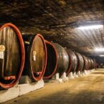 Cricova Winery with Tasting - The Value of the Tour