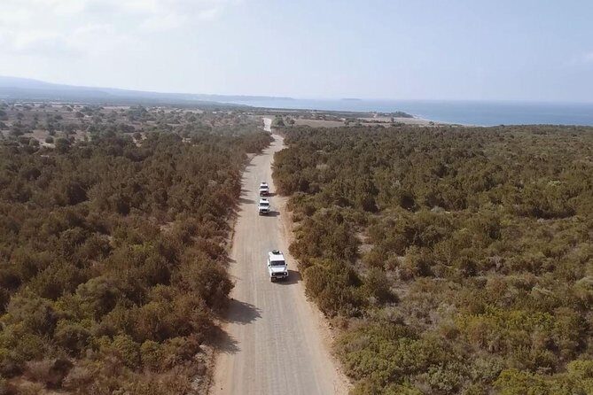 Cruise and 4X4 Safari Tour at Akamas Peninsula from Paphos - Who Should Consider This Tour?