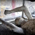 Customizable Private Tour of Herculaneum & Pompeii - Detailed Breakdown of the Itinerary