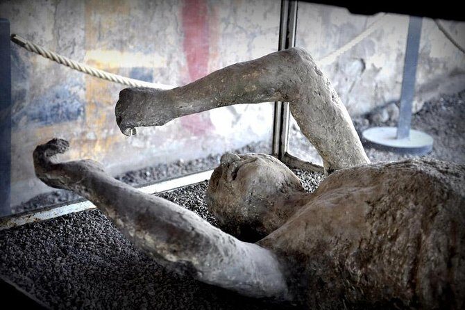 Customizable Private Tour of Herculaneum & Pompeii - Detailed Breakdown of the Itinerary