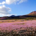 Customized Private Tours of Lanzarote island - The Guide and Flexibility