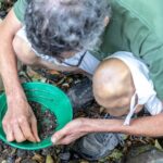 Czech Countryside Villages Tour from Prague with Animal Farm - What You Can Expect from the Tour Experience