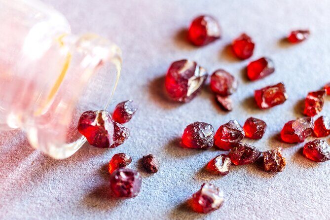 Czech garnet panning with animal farm, lunch 4WD trip from Prague - Transportation and Group Size