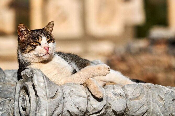 Daily Ephesus & Virgin Mary House Tour from Izmir - The Value for Money and What You’re Getting