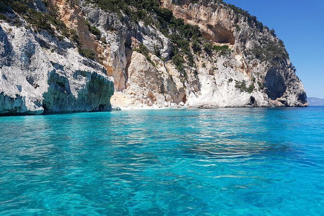 Daily sailing trip in the Orosei coves with lunch - Price & Value Analysis