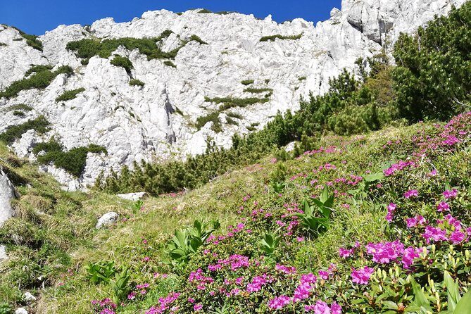 Day Hike PRIVATE - Piatra Craiului National Park - FAQ