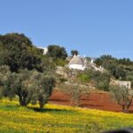 Day Tour of Bari, Alberobello, Matera - Practical Considerations and Potential Downsides