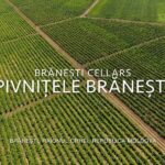 Day Tour: Old Orhei Monasteries Complex with Brneti Cellar - What We Think: Who Will Love This Tour?