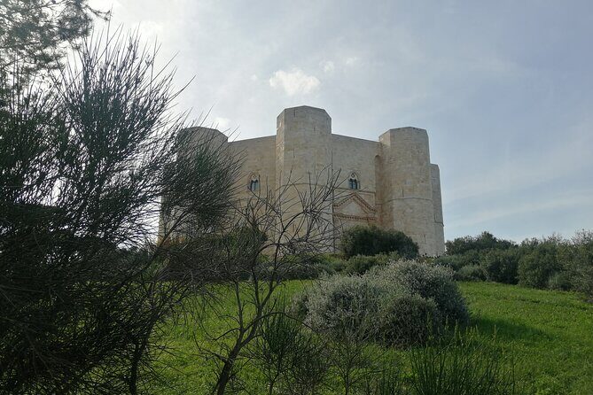 Day tours from Bari: Explore Polignano, Alberobello, Matera - Who is this tour best suited for?