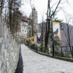 Day Trip Bear Sanctuary, Bran Castle, Rasnov Fortress from Brasov - Transportation and Comfort
