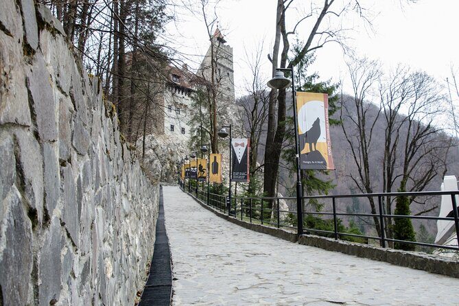 Day Trip Bear Sanctuary, Bran Castle, Rasnov Fortress from Brasov - Transportation and Comfort