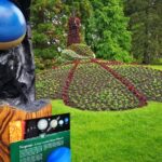 Day Trip Flower Island of Mainau including Meersburg - The Practical Side: Pricing, Duration, and Comfort