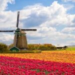 Day Trip from Amsterdam to Zaanse Schans Windmills and Volendam - Who is This Tour Perfect For?