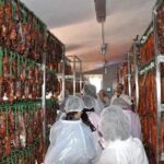 Day Trip from Sevilla to Aracena and la Gruta de las Maravillas - Who Will Love This Tour?