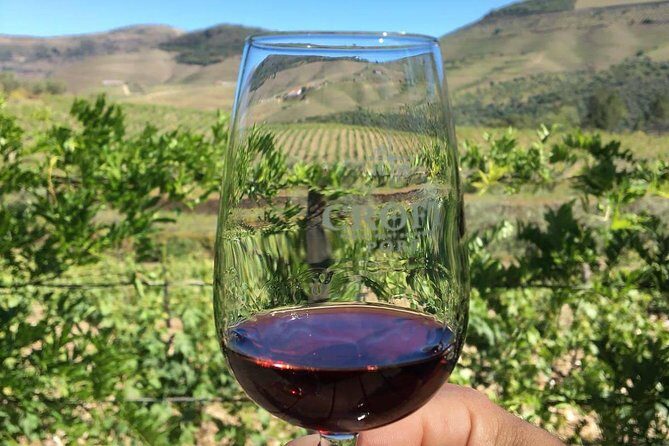 Day Trip Through the Enchanting Douro Valley #DuckSideOfPorto - What We Like and What to Keep in Mind