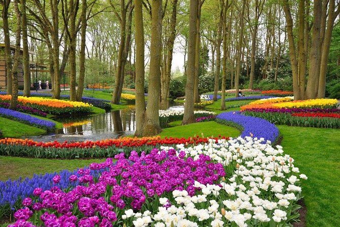 Delft and Keukenhof Gardens Tour from Brussels - What the Reviews Say