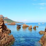 Depart Saint Raphaël: Meet the Dolphins - Final Thoughts