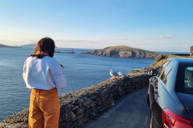 Dingle: Hour Slea Head Drive Tour 4hr - Personal Chauffeur Guide - The Itinerary: A Closer Look at Each Stop