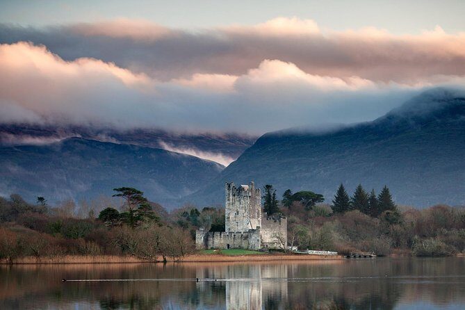 Dingle Peninsula & Slea Head Private Day Tour - Price and Value