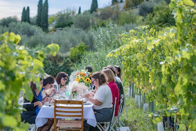 Dinner in the Vineyard French Riviera - Who Should Consider This Tour?