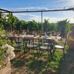 Dinner in the vineyard with wine tasting and walk - What Is This Experience All About?