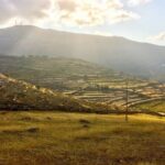 Discover Lefkes: Traditional Greek Village Paros VIP Experience - The Cost and Its Value