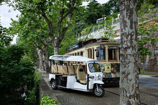Discover Porto's Highlights on a 2-Hour Private Electric Tuk Tuk - The Experience: What Youll Love