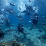 Discover Scuba Diving - Value for Money and Practical Considerations