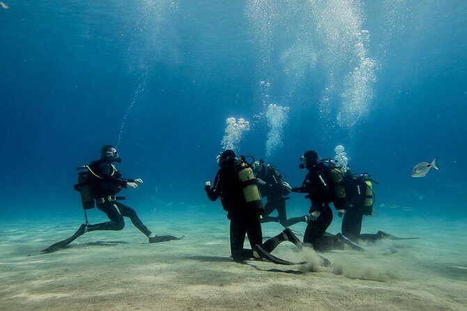Discover Scuba Diving - The Photos and Memories