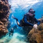 Discover Scuba Diving in Palamos - Who Is This Tour Best For?