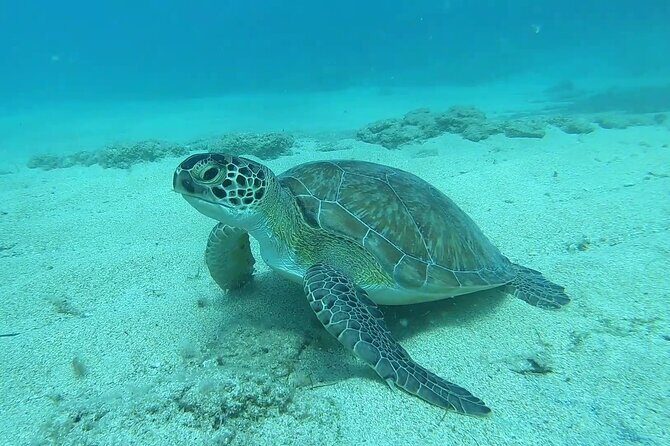 Discover SCUBA Diving with Pissouri Bay Divers - What to Expect from the Experience