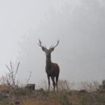 Discovering Nature in Serra da Lousã - Transport, Timing, and Practical Details