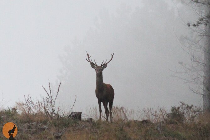 Discovering Nature in Serra da Lousã - Transport, Timing, and Practical Details